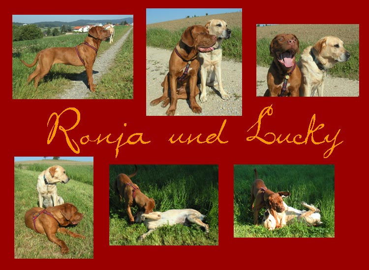 Ronja und Lucky